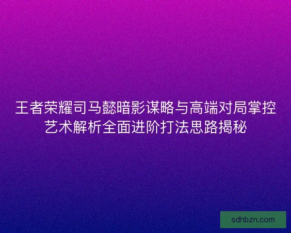 王者荣耀司马懿暗影谋略与高端对局掌控艺术解析全面进阶打法思路揭秘