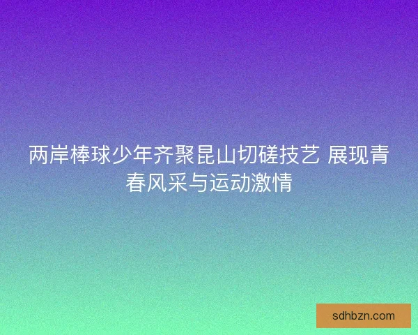 两岸棒球少年齐聚昆山切磋技艺 展现青春风采与运动激情
